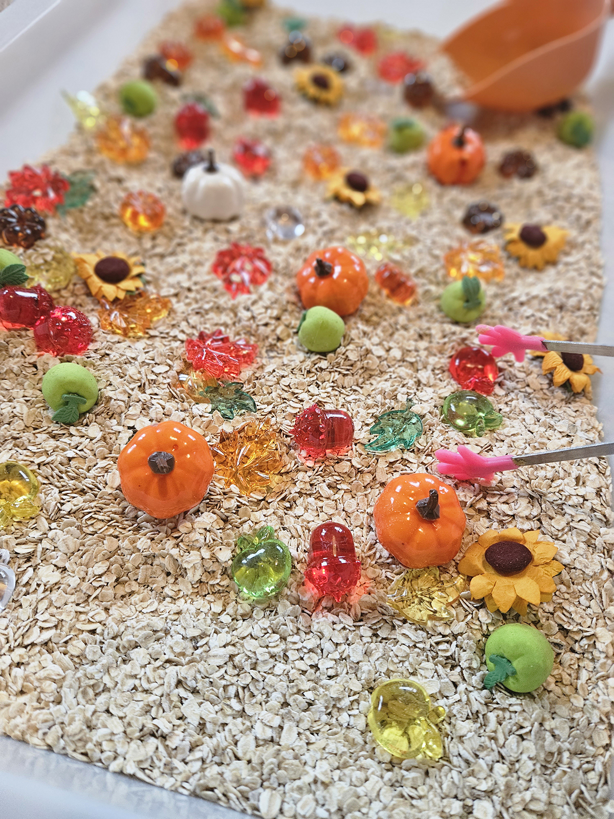 zajęcia dla dzieci - gospodarstwo - uprawa