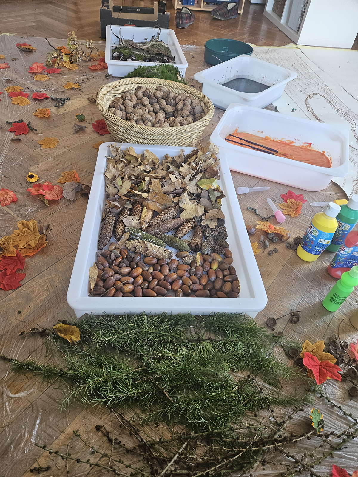 zajęcia dla dzieci - leśne (2)