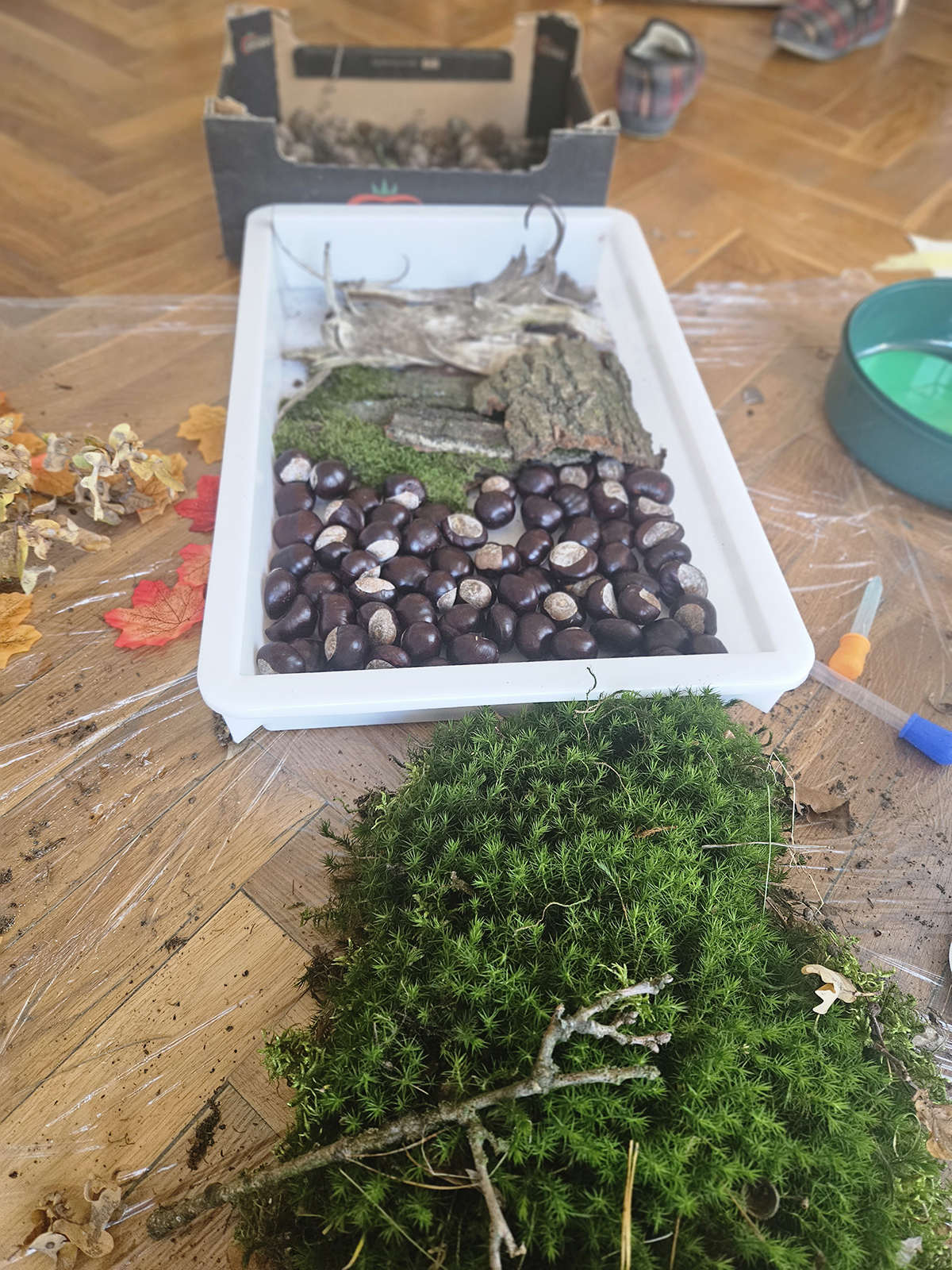 zajęcia dla dzieci - leśne (3)