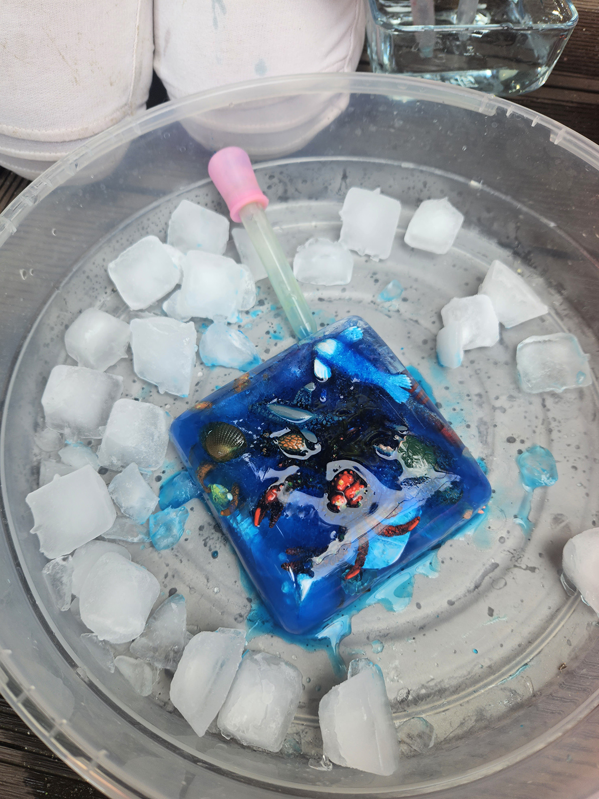 zajęcia dla dzieci - różne (1)